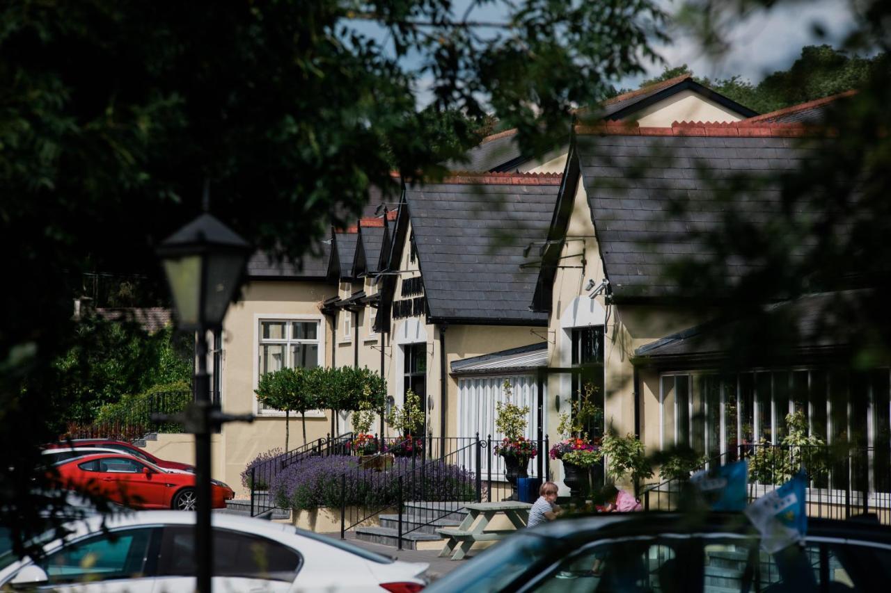 The Abbeyleix Manor Hotel エクステリア 写真